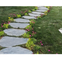Stepping Stone