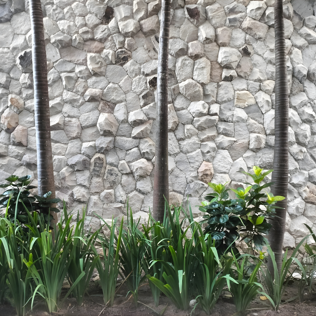 Jogja Limestone