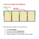Asphalt Shingles