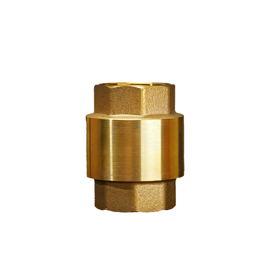Check Valve (Spring Type) - Brass