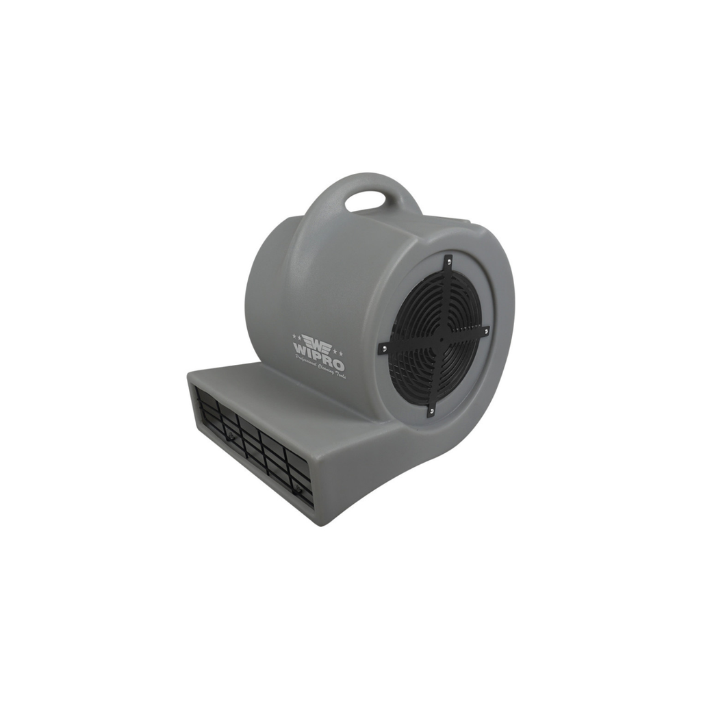 Carpet Blower